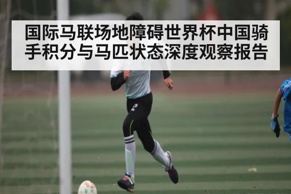 国际马联场地障碍世界杯中国骑手积分与马匹状态深度观察报告