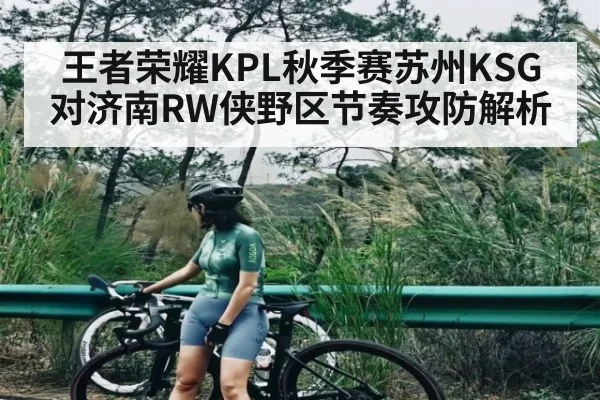王者荣耀KPL秋季赛苏州KSG对济南RW侠野区节奏攻防解析